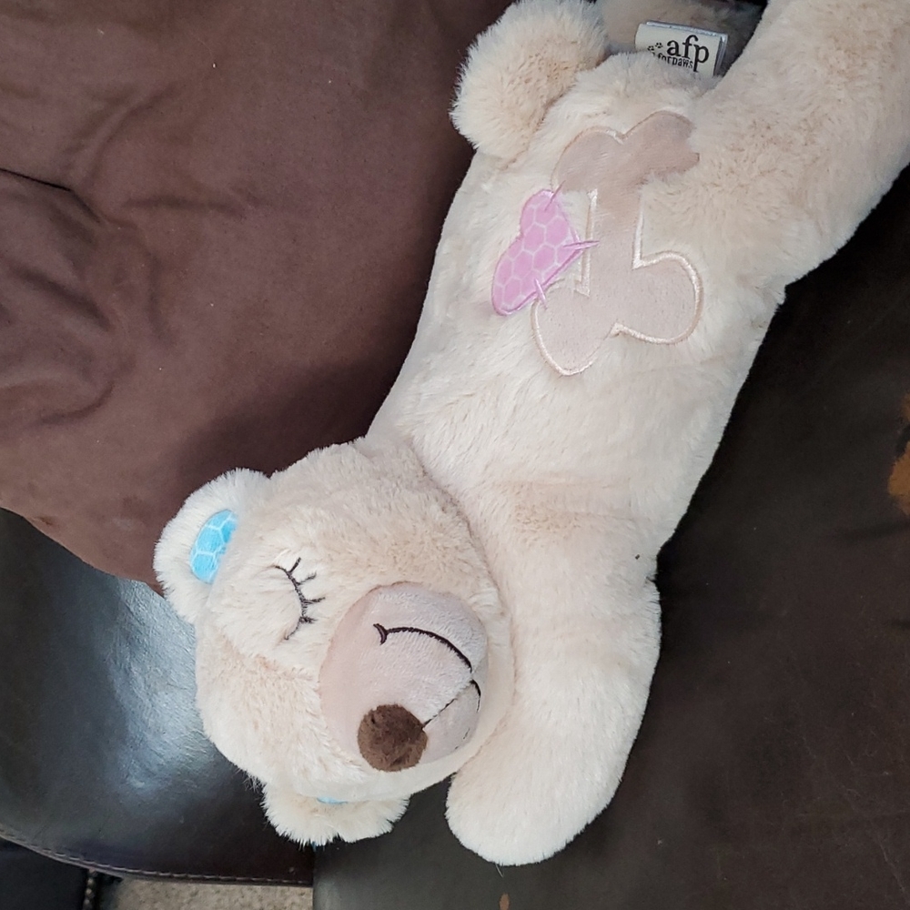 Heartbeat bear